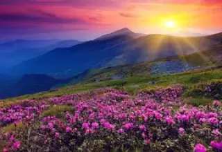 Kashmir Lake